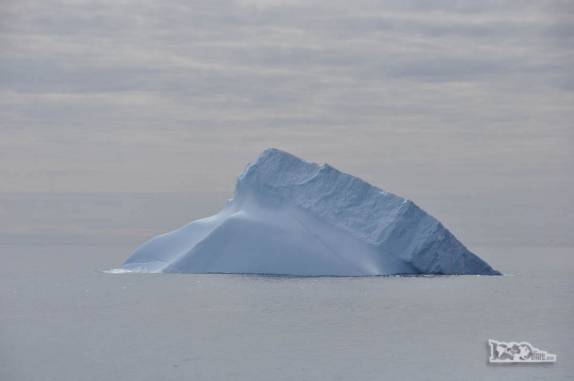 Iceberg tabular se vira, afunda e deixa apenas uma pequena parte de seu corpo fora da água na baía de Point Wild, em Elephant Island, na Antártida